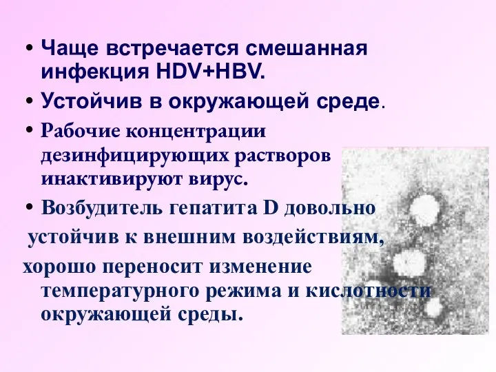 Чаще встречается смешанная инфекция HDV+HBV. Устойчив в окружающей среде. Рабочие концентрации дезинфицирующих