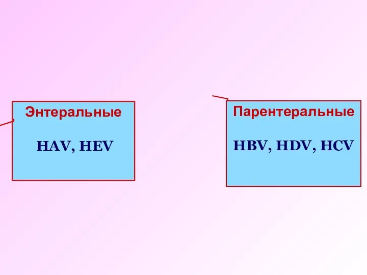 Энтеральные HAV, HEV Парентеральные HBV, HDV, HCV