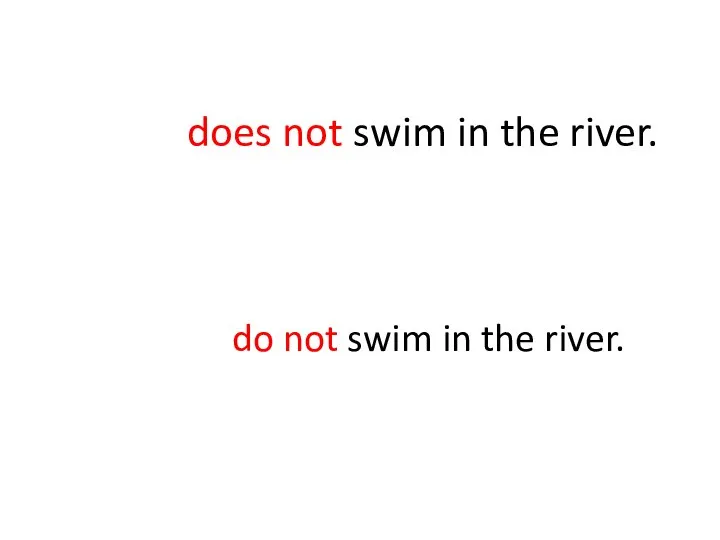does not swim in the river. do not swim in the river.