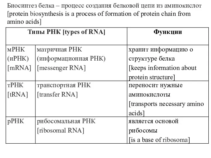 Биосинтез белка – процесс создания белковой цепи из аминокислот [protein biosynthesis is