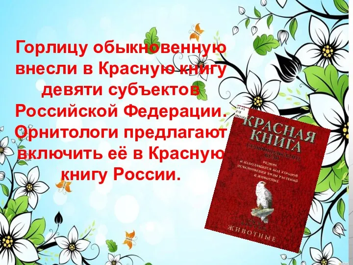 Горлицу обыкновенную внесли в Красную книгу девяти субъектов Российской Федерации. Орнитологи предлагают