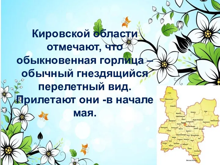 Кировской области отмечают, что обыкновенная горлица – обычный гнездящийся перелетный вид. Прилетают они -в начале мая.