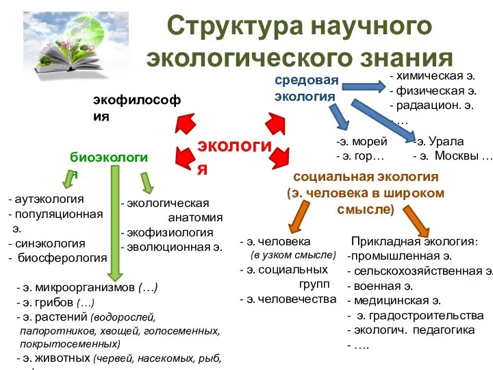 Структура научного экологического знания экология биоэкология аутэкология популяционная э. синэкология биосферология экологическая