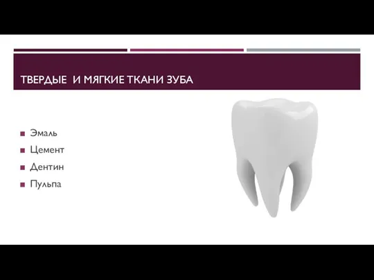 ТВЕРДЫЕ И МЯГКИЕ ТКАНИ ЗУБА Эмаль Цемент Дентин Пульпа