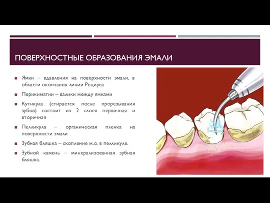 ПОВЕРХНОСТНЫЕ ОБРАЗОВАНИЯ ЭМАЛИ Ямки – вдавления на поверхности эмали, в области окончания