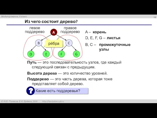 Из чего состоит дерево? A – D, E, F, G – корень