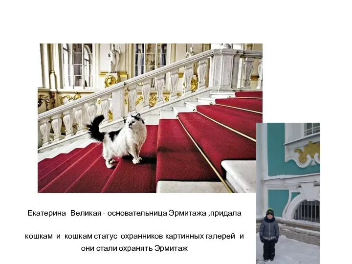 Екатерина Великая - основательница Эрмитажа ,придала кошкам и кошкам статус охранников картинных