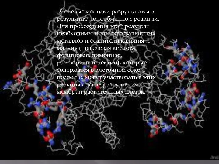 Солевые мостики разрушаются в результате ионообменной реакции. Для прохождения этой реакции необходимы