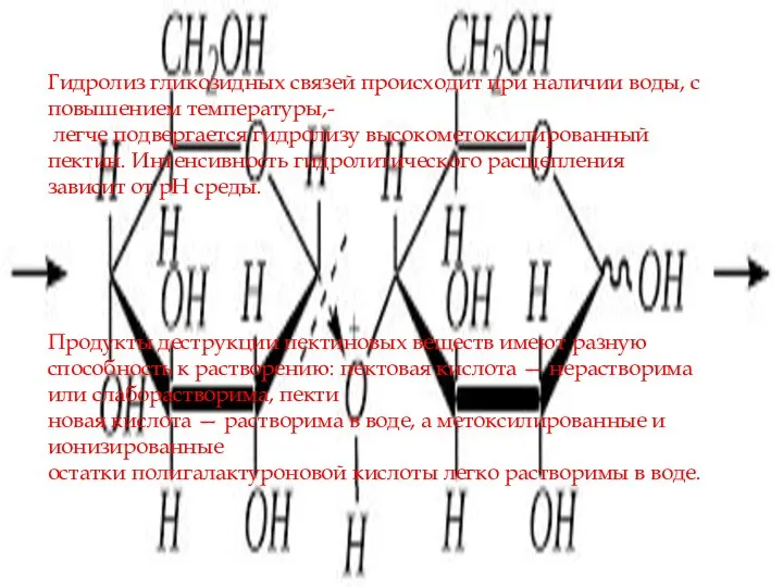 Гидролиз гликозидных связей происходит при наличии воды, с повышением температуры,- легче подвергается