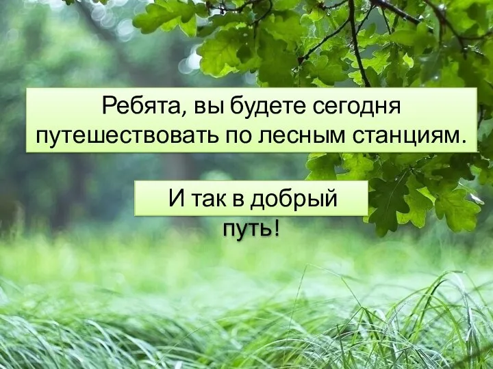 Ребята, вы будете сегодня путешествовать по лесным станциям. И так в добрый путь!