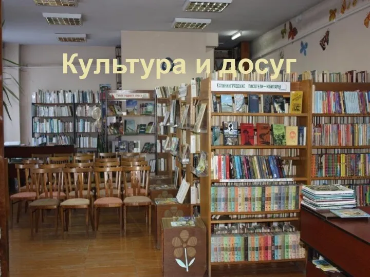 Культура и досуг