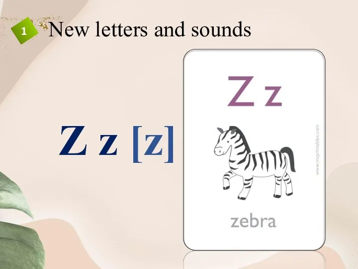 New letters and sounds Z z [z] 1