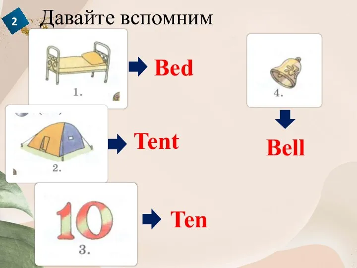 Давайте вспомним Bed Tent Ten Bell 2