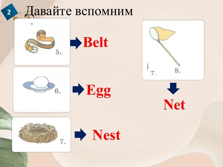 Давайте вспомним Belt Egg Nest Net 2