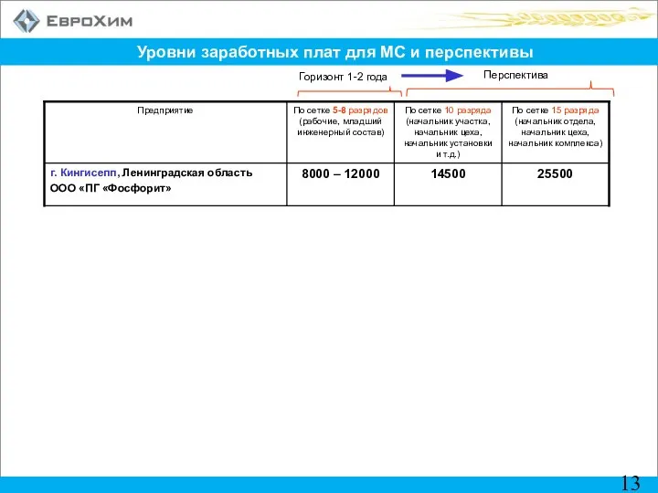 Уровни заработных плат для МС и перспективы Горизонт 1-2 года Перспектива