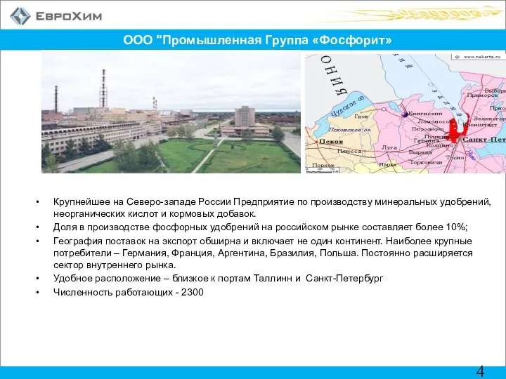 ООО "Промышленная Группа «Фосфорит» Крупнейшее на Северо-западе России Предприятие по производству минеральных