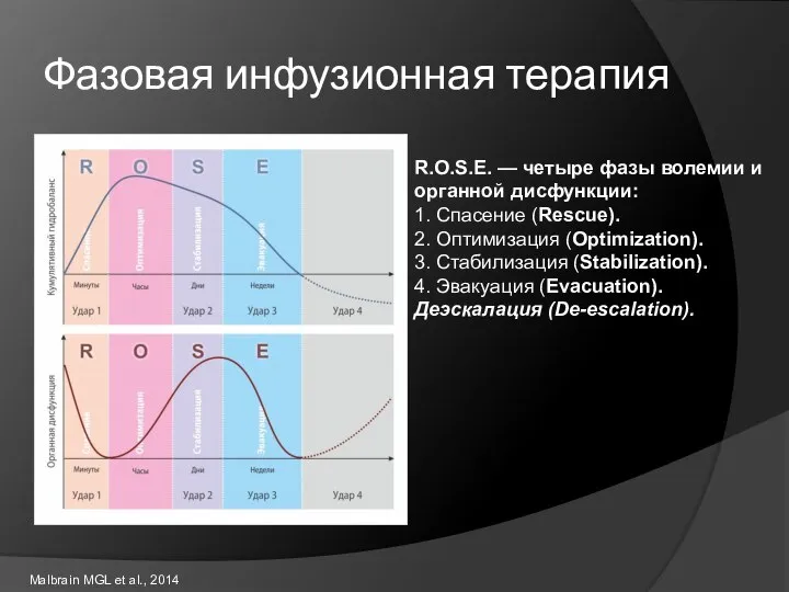 Фазовая инфузионная терапия R.O.S.E. — четыре фазы волемии и органной дисфункции: 1.