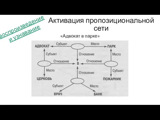 Активация пропозициональной сети «Адвокат в парке» воспроизведение и узнавание