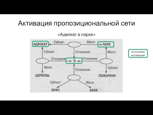 Активация пропозициональной сети «Адвокат в парке» источники активации