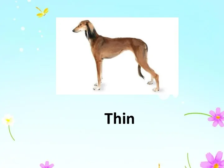 Thin