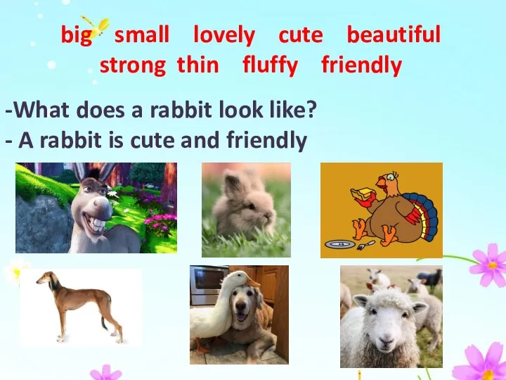 big small lovely cute beautiful strong thin fluffy friendly -What does a