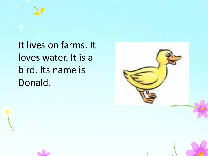 It lives on farms. It loves water. It is a bird. Its name is Donald.