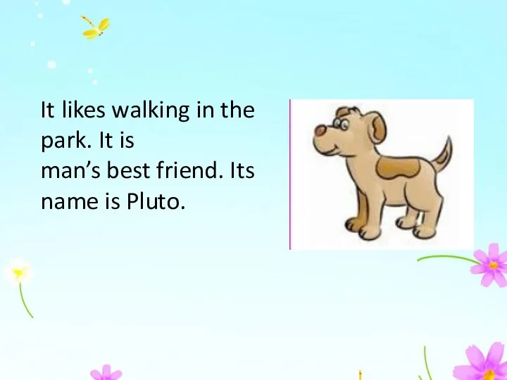It likes walking in the park. It is man’s best friend. Its name is Pluto.