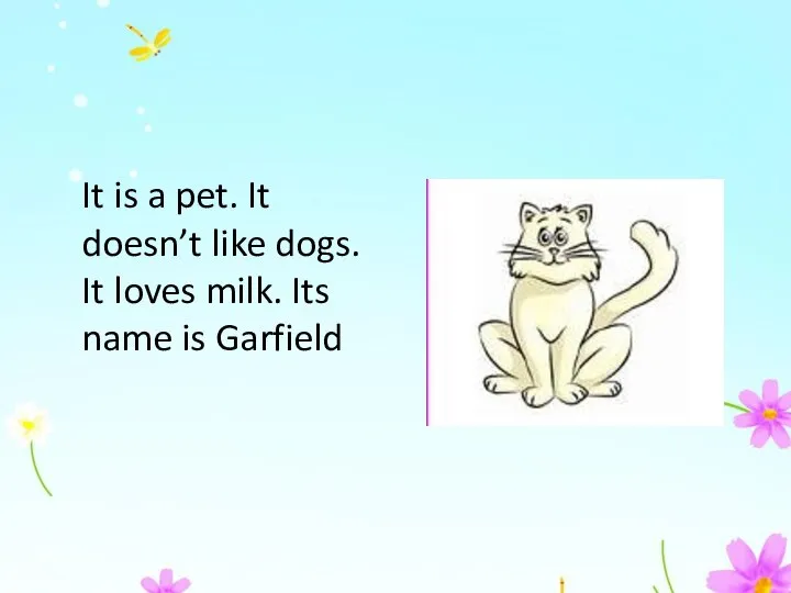 It is a pet. It doesn’t like dogs. It loves milk. Its name is Garfield