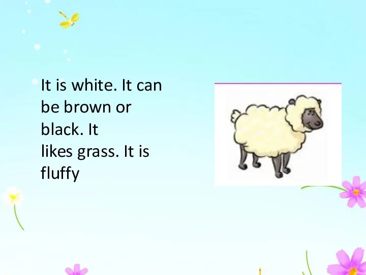 It is white. It can be brown or black. It likes grass. It is fluffy