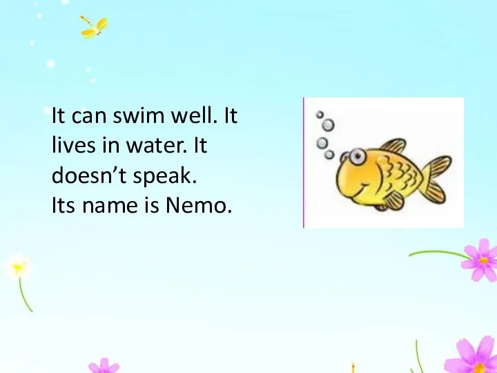 It can swim well. It lives in water. It doesn’t speak. Its name is Nemo.