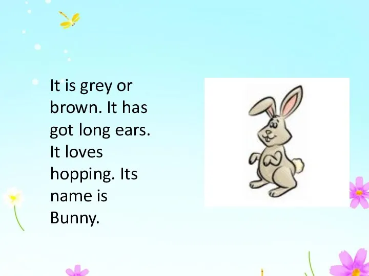 It is grey or brown. It has got long ears. It loves