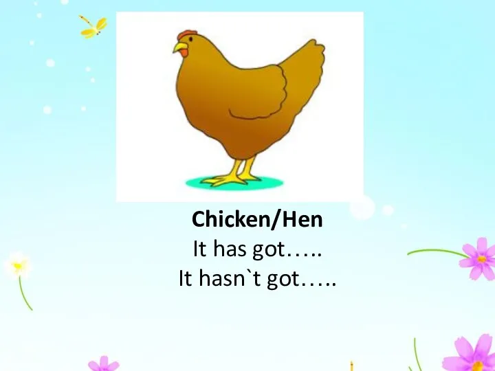 Chicken/Hen It has got….. It hasn`t got…..