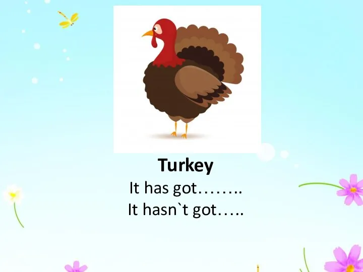Turkey It has got…….. It hasn`t got…..
