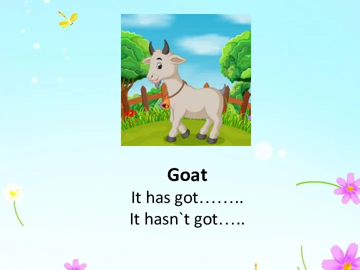 Goat It has got…….. It hasn`t got…..