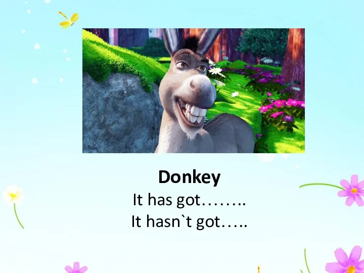 Donkey It has got…….. It hasn`t got…..