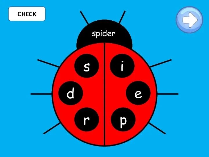 CHECK s i r p spider e d