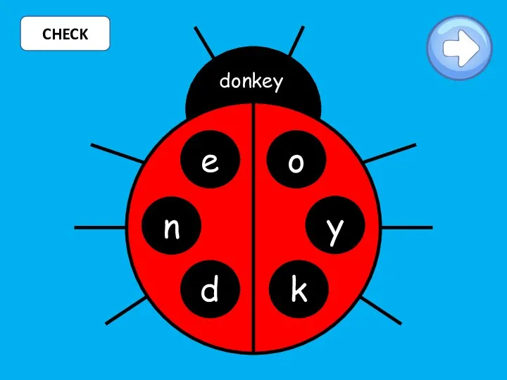 CHECK e o d k donkey y n