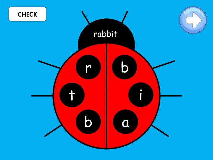 CHECK r b b a rabbit i t