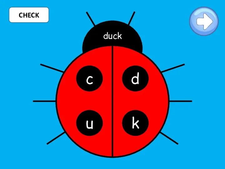 CHECK c d u k duck