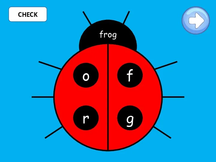 CHECK o f r g frog