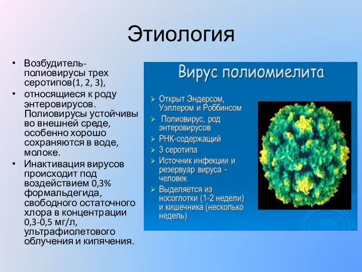 Этиология Возбудитель-полиовирусы трех серотипов(1, 2, 3), относящиеся к роду энтеровирусов. Полиовирусы устойчивы