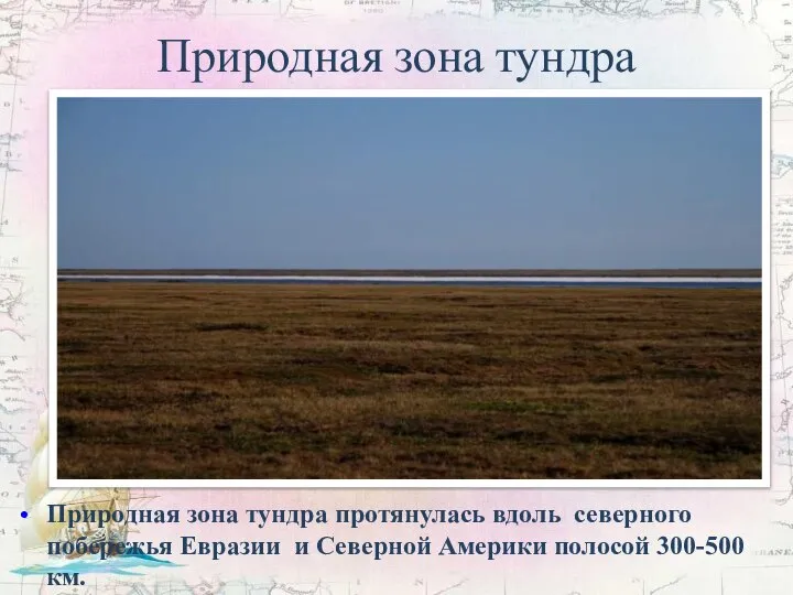 Природная зона тундра Природная зона тундра протянулась вдоль северного побережья Евразии и