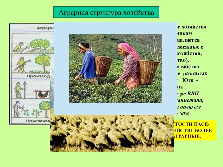 При аграрной структуре хозяйства основным источником материальных благ является сельское хозяйство и