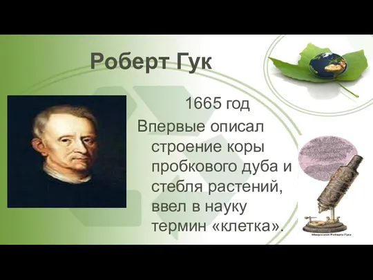 Роберт Гук 1665 год Впервые описал строение коры пробкового дуба и стебля