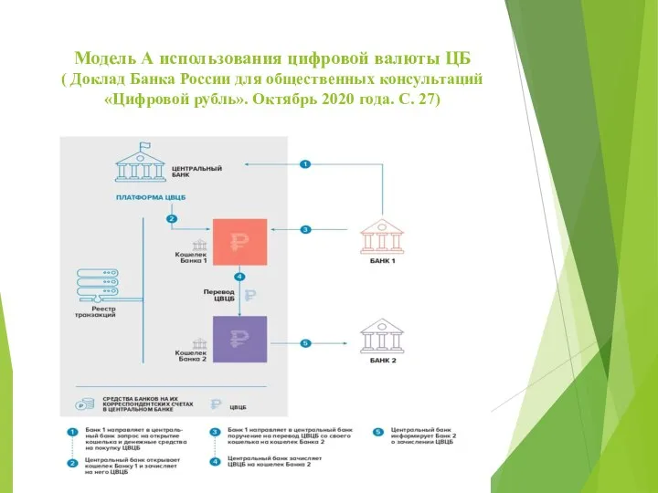 Модель А использования цифровой валюты ЦБ ( Доклад Банка России для общественных