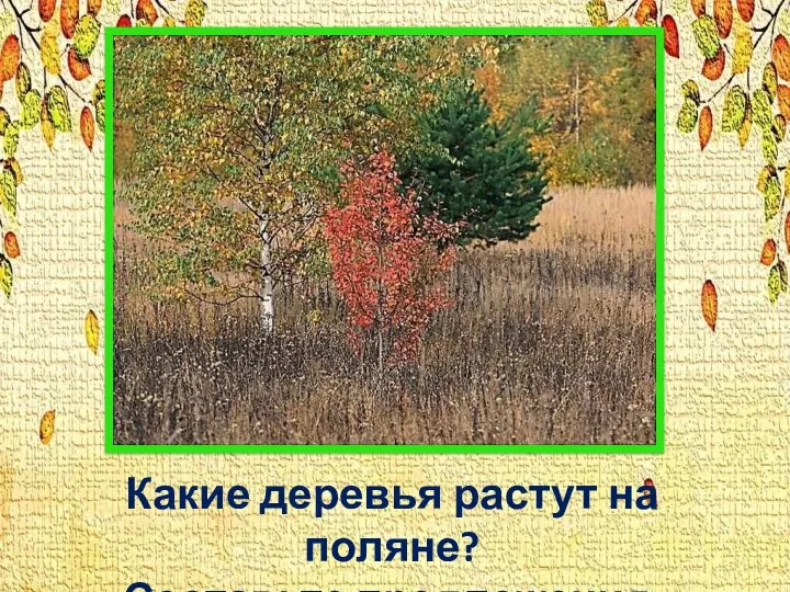 Какие деревья растут на поляне? Составьте предложения.