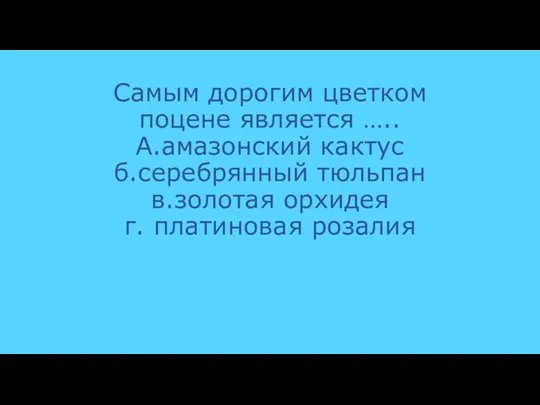 Самым дорогим цветком поцене является ….. А.амазонский кактус б.серебрянный тюльпан в.золотая орхидея г. платиновая розалия