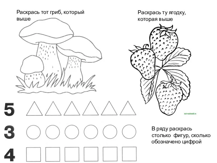 Раскрась тот гриб, который выше Раскрась ту ягодку, которая выше В ряду