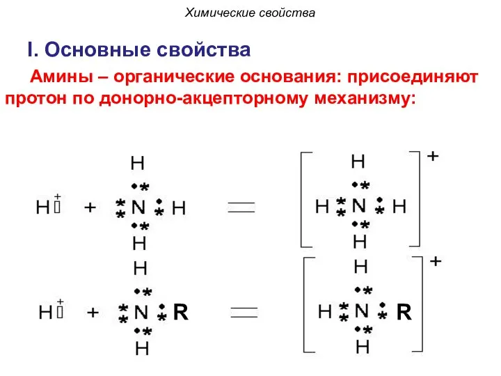 I. Основные свойства Амины – органические основания: присоединяют протон по донорно-акцепторному механизму: R R Химические свойства