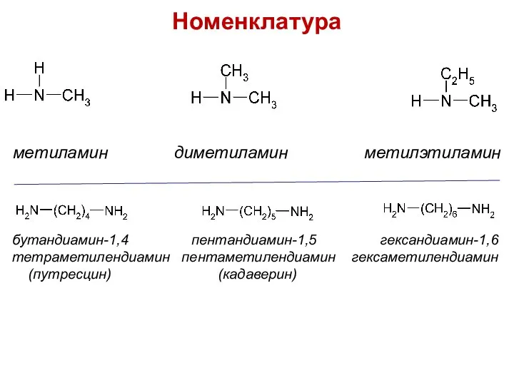 Номенклатура метиламин диметиламин метилэтиламин бутандиамин-1,4 пентандиамин-1,5 гександиамин-1,6 тетраметилендиамин пентаметилендиамин гексаметилендиамин (путресцин) (кадаверин)